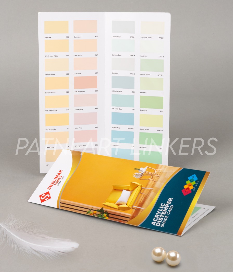 Makeup Color Palette